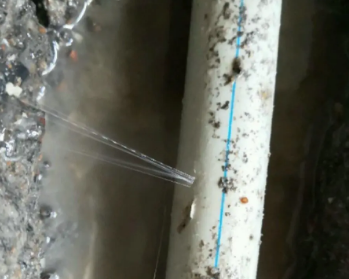 商南卫生间测漏水多少钱