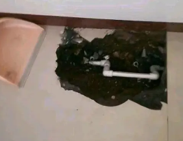 商南卫生间测漏水多少钱